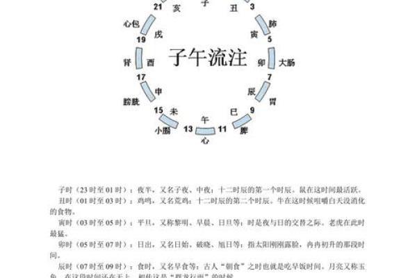 十二地支与生肖的奥秘：探秘中国传统文化中的时间与命运关系