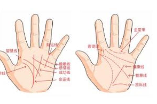 揭秘手相学：如何通过手掌纹理了解你的命运