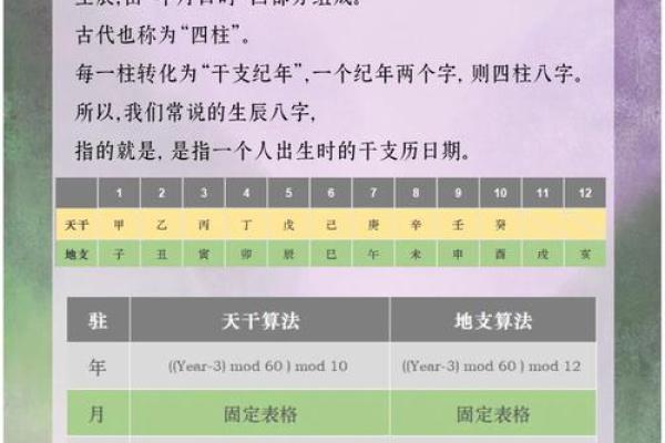 生辰八字天干地支查询方法与应用解析