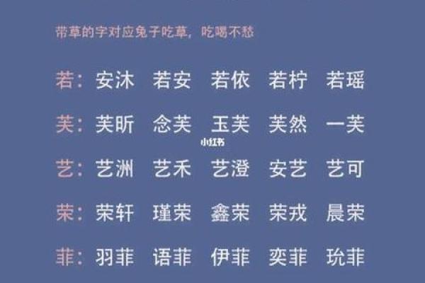 猴宝宝起名大全免费 提升运势的幸运名字