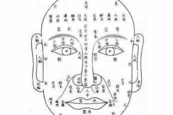 解读鼻孔外露的女性面相特点与性格影响