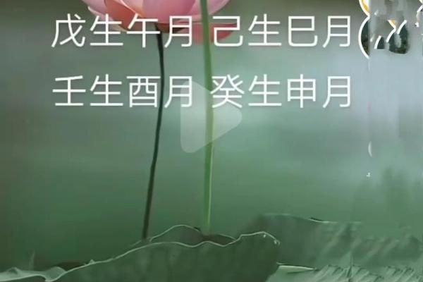 权志龙的命理密码：从八字看他的人生轨迹