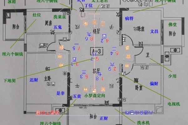 鼠家居风水：如何布局才能避免不利影响