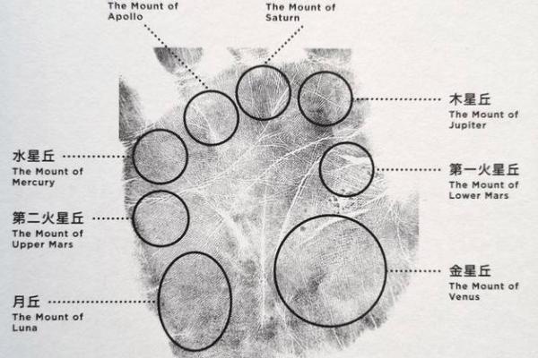 探索手相学的奥秘，如何通过在线方式解读你的生命轨迹