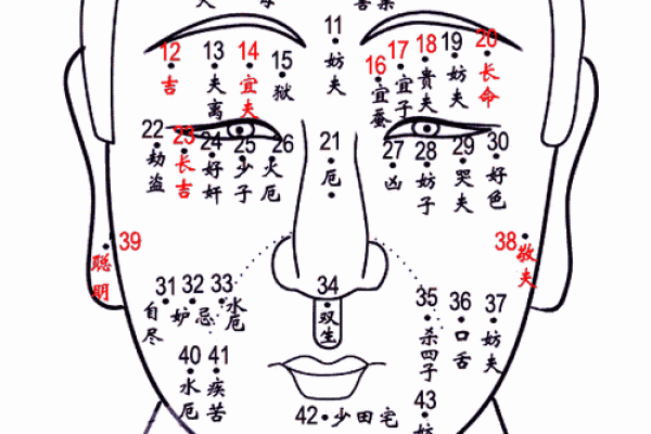 手臂痣相与人生运势的深层联系