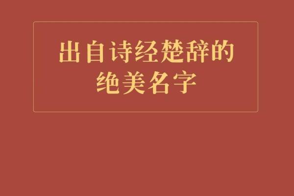 创意十足的回收公司名字推荐与起名技巧