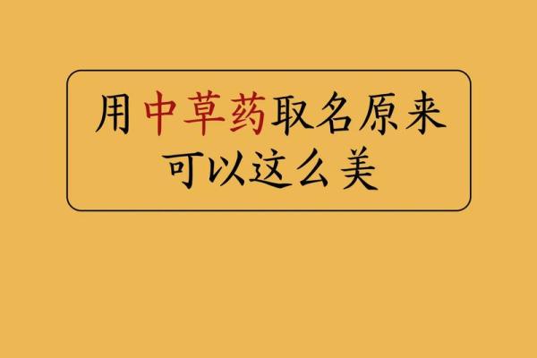 中药取名的技巧与方法分析