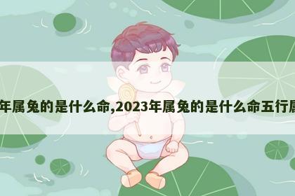 2023年属兔的是什么命,2023年属兔的是什么命五行属什么