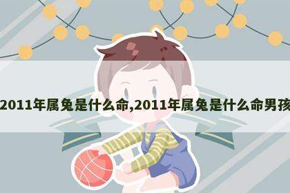 2011年属兔是什么命,2011年属兔是什么命男孩