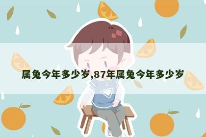 属兔今年多少岁,87年属兔今年多少岁