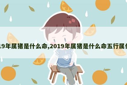 2019年属猪是什么命,2019年属猪是什么命五行属什么