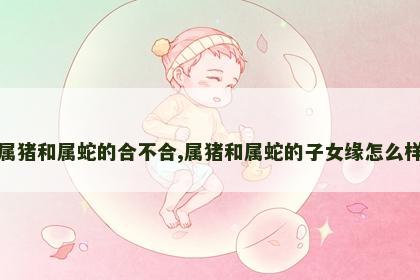 属猪和属蛇的合不合,属猪和属蛇的子女缘怎么样