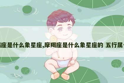 摩羯座是什么象星座,摩羯座是什么象星座的 五行属什么