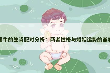 属鼠与属牛的生肖配对分析：两者性格与婚姻运势的兼容性探讨