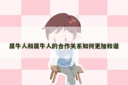 属牛人和属牛人的合作关系如何更加和谐