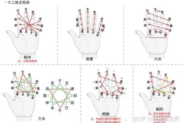 十二地支相刑与命理运势的关系探讨