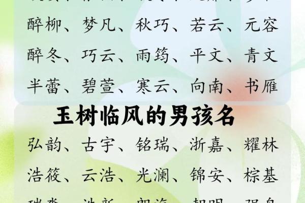 宝宝五行命理起名指南：为孩子选择最合适的名字