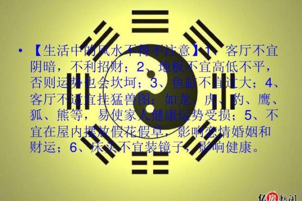 揭秘风水学：改善运势的实用方法