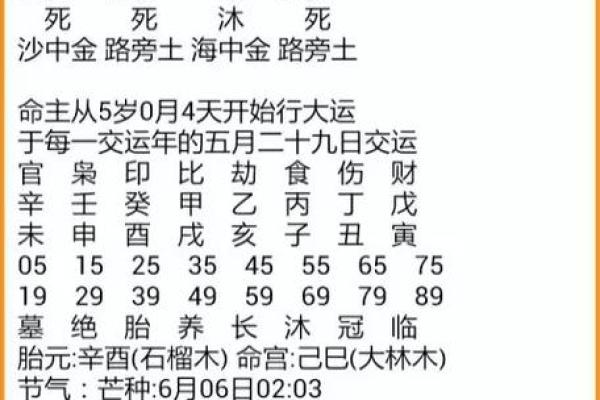 八字排盘下载：一键获取命理分析报告