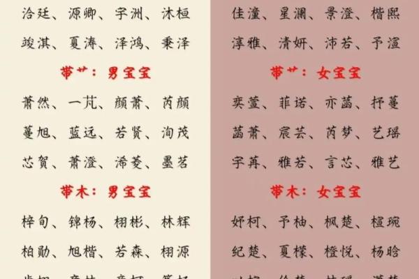 免费男宝宝名字大全，挑选最佳名字方案