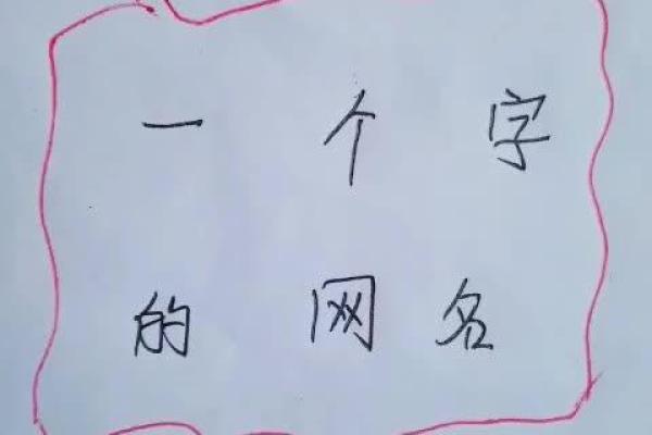 快手名字与个人品牌建设的关系