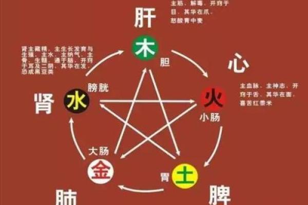 生辰八字与五行相生相克的深度解析与应用指南