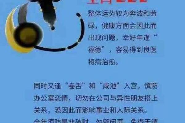 鼠五行属水的解释与影响分析