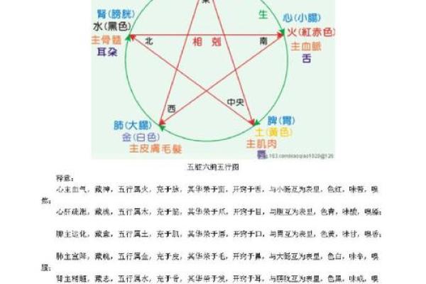 命理五行查询助你深入了解自身命运走向