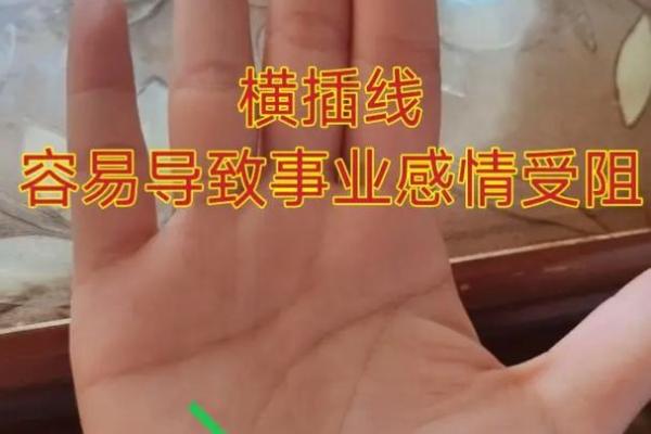 手相揭示男生命运走向的秘密