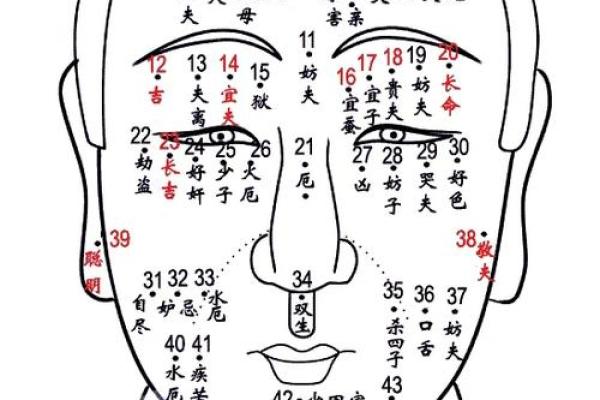 是非痣相揭秘：了解脸部痣的位置与性格关系