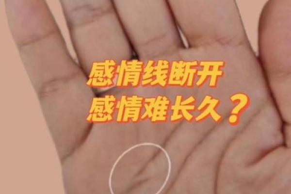 手相感情线分叉解读与情感运势分析