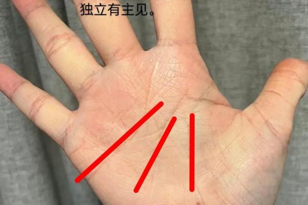 手相分析：大师如何洞察未来