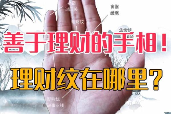 手相分析：大师如何洞察未来