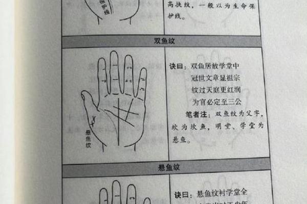 探秘手相学：哪里能找到真正精准的手相解读