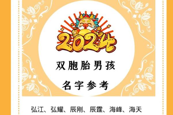 双胞胎宝宝起名推荐：个性与和谐兼具的完美选择