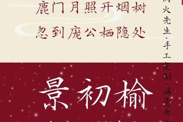 双胞胎宝宝起名推荐：个性与和谐兼具的完美选择