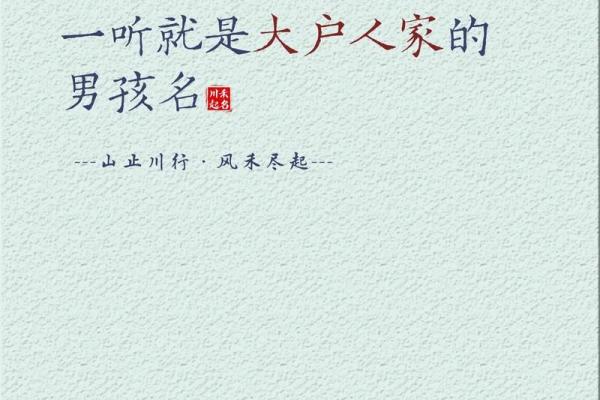 杨字取名技巧与寓意分析，助你选个好名字