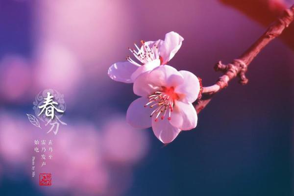 十一月出生宝宝起名：迎接冬季的第一抹温暖