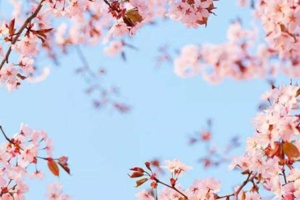 十一月出生宝宝起名：迎接冬季的第一抹温暖