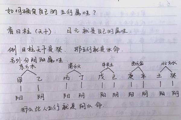 如何根据五行属性调整生活与工作中的平衡