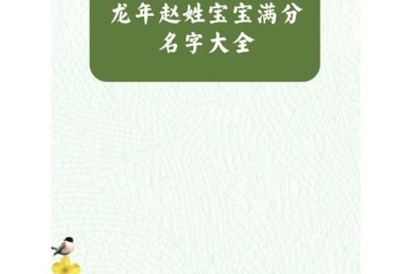 赵姓宝宝起名技巧：如何挑选合适的名字