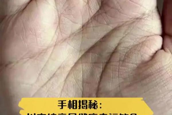 揭秘手相学：是否真的能够预测未来？