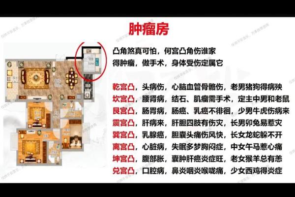 如何通过建筑风水布局打造和谐家居环境