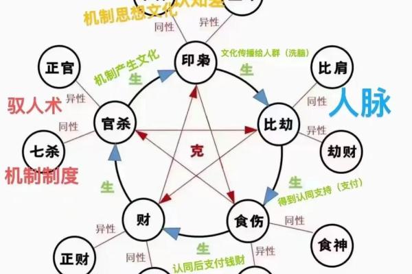 十二地支与命理学：五行相生相克的奥秘