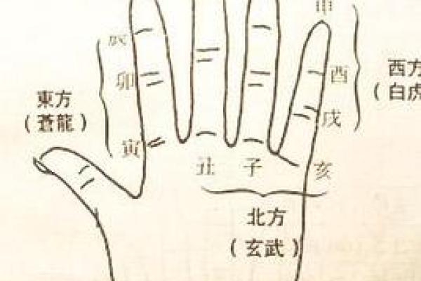 地支之谜：桃花的秘密藏匿其中