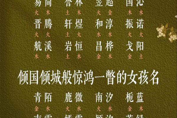 名字如画，文宝宝起名创意无限
