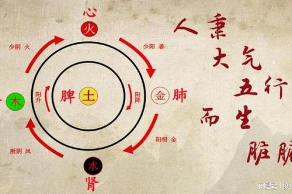 孔子与五行的关系揭秘