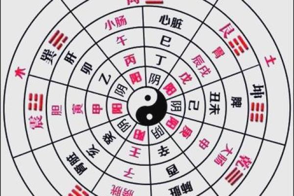 舜字五行解析与命理分析