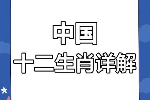 十二生肖大揭秘，地支全昼揭秘生肖奥秘