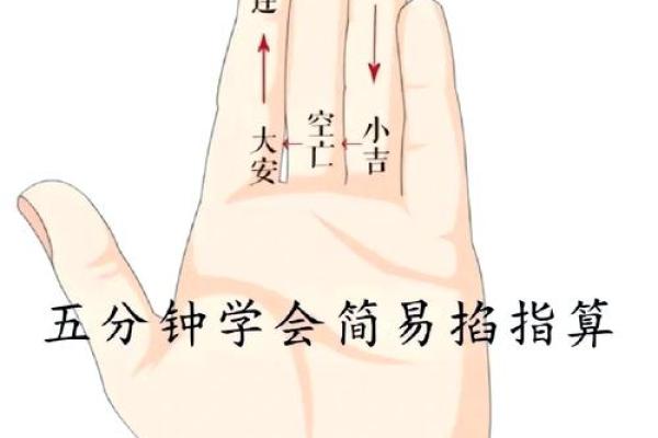 一指窥天机：手相全解图，掌握人生运势的关键